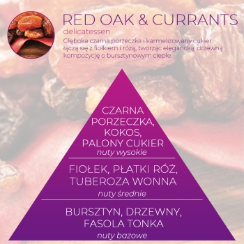 <B>RED OAK & CURRANTS</B> SPRAY 250 ml odświeżacz powietrza PREMIUM